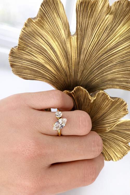 Alisa Ring